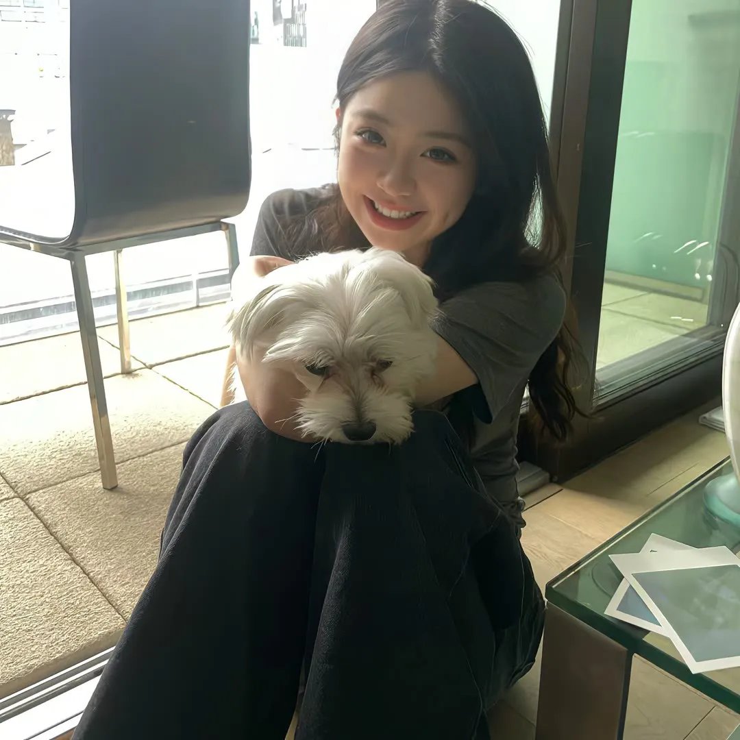 大厨小婿 在线观看